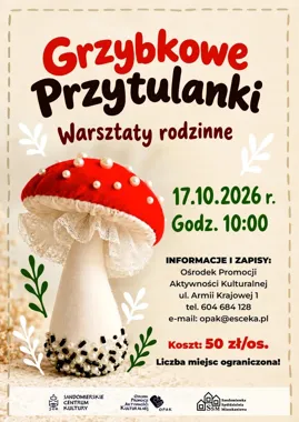 Nie tylko dla dzieci. W OPAK odbędą się rodzinne warsztaty „Grzybkowe Przytulanki”