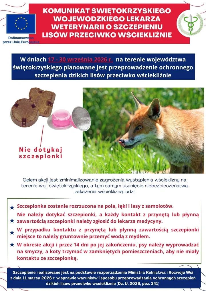Szczepionki spadną z samolotów. Ważne zasady dla właścicieli psów i kotów