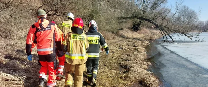 Quadem przez bagno - strażacy ewakuowali mężczyznę z starorzecza Wisły