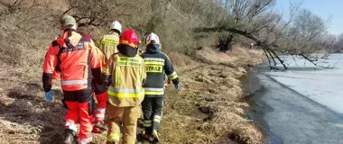 Quadem przez bagno - strażacy ewakuowali mężczyznę z starorzecza Wisły